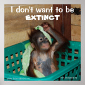 Pouty Baby zur Erhaltung der wild lebenden Tierart Poster (Vorne)