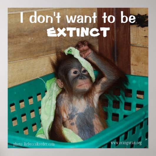 Pouty Baby zur Erhaltung der wild lebenden Tierart Poster (Vorne)