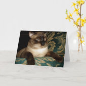 Pouty Face Siamese Chat Note Card Karte (Gelbe Blume)