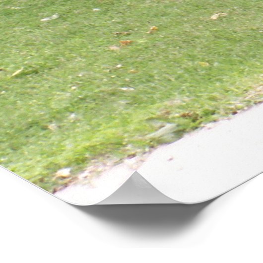 POW-MIA-Gedenkstätte Poster (Ecke)