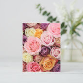 Powder colored roses by Therosegarden Postkarte (Stehend Vorderseite)