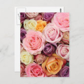 Powder colored roses by Therosegarden Postkarte (Vorne/Hinten)