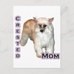Powderpuff Crested Mama 4 Postkarte