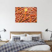 Powdery Mildew Fungus on Poinsettia Leinwanddruck (Insitu (Schlafzimmer))