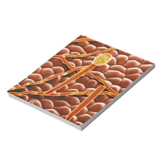 Powdery Mildew Fungus on Poinsettia Notizblock (Rotiert)