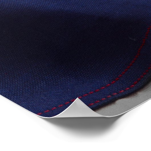 Power Bald Eagle Poster (Ecke)