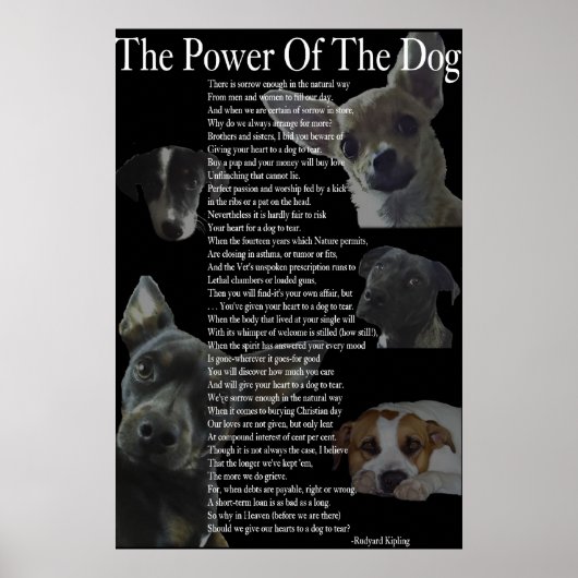 Power des Dog Poster (groß) (Vorne)
