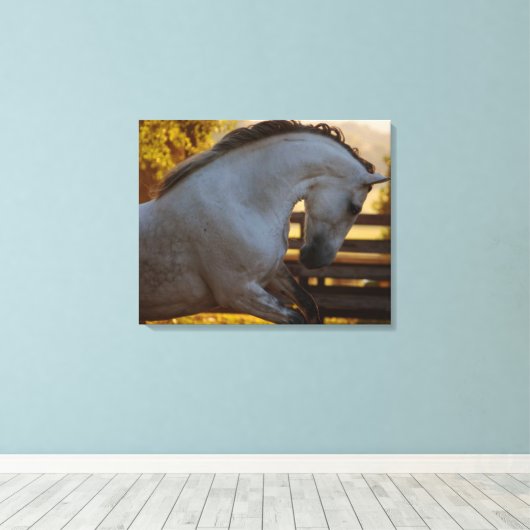 Power einer andalusischen Stute Leinwanddruck (Insitu (Holzboden))