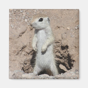 Power-Förster-Eichhörnchen-Magnet Magnet