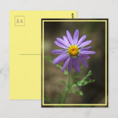 Power lila Blume Postkarte (Vorne/Hinten)