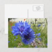 Power mit Kornblumen! Postkarte (Vorne/Hinten)