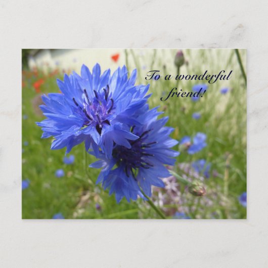 Power mit Kornblumen! Postkarte (Vorderseite)