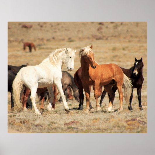 Power Poster (Vorne)