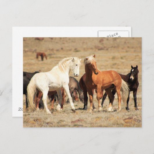 Power Postkarte (Vorne/Hinten)