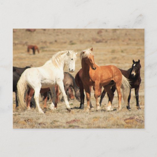 Power Postkarte (Vorderseite)