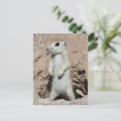 Power Ranger Eichhörnchen Postkarte (Stehend Vorderseite)