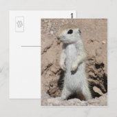Power Ranger Eichhörnchen Postkarte (Vorne/Hinten)