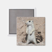 Power Ranger Squirrel Magnet (Vorderseite/Rückseite)