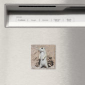 Power Ranger Squirrel Magnet (In Situ (Geschirrspüler))