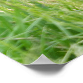 Power und Poise von Ozala Poster (Ecke)