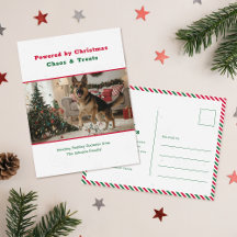 Powered by Christmas Chaos Funny Dog Pet Photo