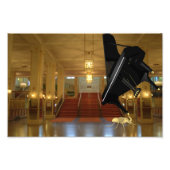 Powerful Eleph-Ant Fotodruck (Vorne)