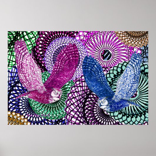 Powerful Owls Poster (Vorne)