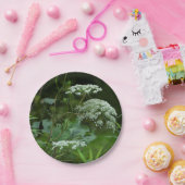 ppr Plattenvorlage Pappteller (Party)