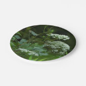 ppr Plattenvorlage Pappteller (Schrägansicht)