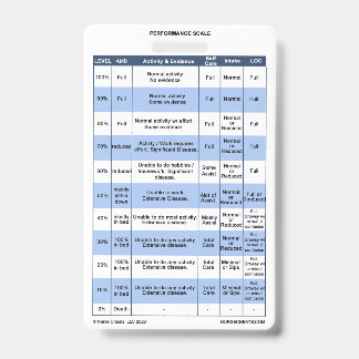 PPS/KPS-Abzeichen-Buddy für Krankenpfleger Ausweis