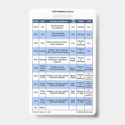 PPS/KPS-Abzeichen-Buddy für Krankenpfleger Ausweis (Vorderseite)