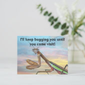 Prachen der Mantis Post Card Postkarte (Stehend Vorderseite)