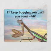 Prachen der Mantis Post Card Postkarte (Vorderseite)