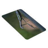 Prachen Mantis Großmagnet Magnet (Rechte Seite)