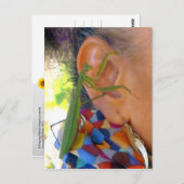 Prachen Mantis teilt ein Geheimnis - V Postkarte (Vorne/Hinten)