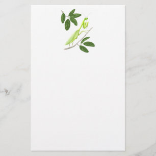 Pracht-Mantis-Stationierung Briefpapier