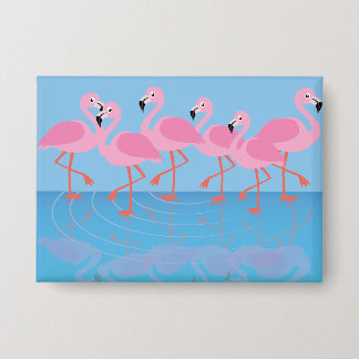 Prachtenfärbung der Flamingos Button