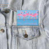 Prachtenfärbung der Flamingos Button (Insitu)