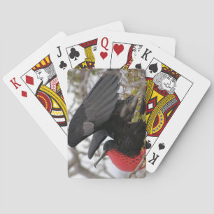 Prachtfregattvogel Spielkarten