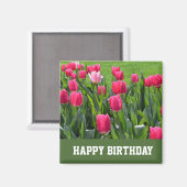 prächtige Frühlingspinke Tulpe Blume zum Geburtsta Magnet (Vorderseite/Rückseite)