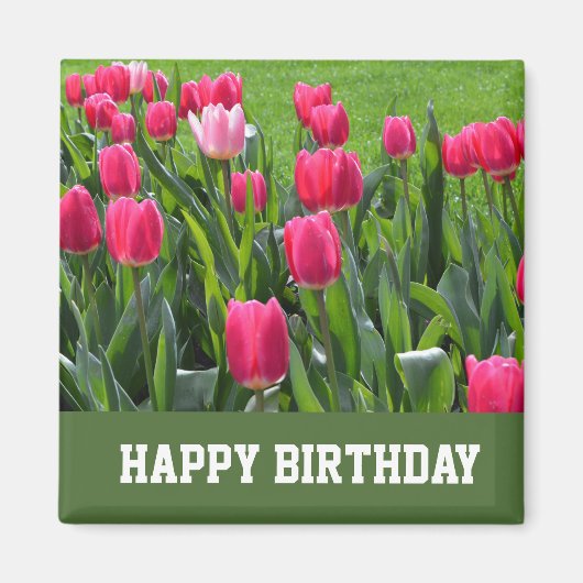 prächtige Frühlingspinke Tulpe Blume zum Geburtsta Magnet (Vorne)