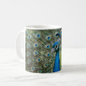 Prächtige Pfauen-Schwanzfedern Kaffeetasse (Vorderseite Links)