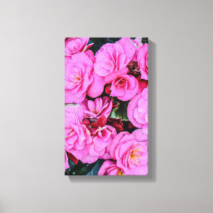 prächtige rosa Blume Leinwanddruck
