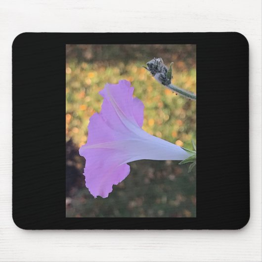 Prächtige Trichterwinde in Rosa und Gold Mousepad (Vorne)
