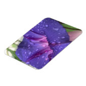 Prächtige Trichterwinde Magnet (Linke Seite)