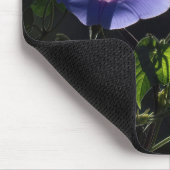 Prächtige Trichterwindenblüten Mousepad (Ecke)