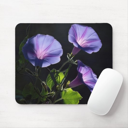 Prächtige Trichterwindenblüten Mousepad (Mit Mouse)