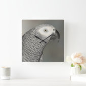Prächtiger afrikanisches Grau-Papagei Quadratische Wanduhr (Zuhause)