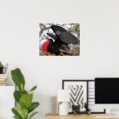 Prächtiger Fregattvogel Poster (Heimbüro)