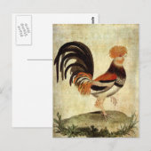 Prachtiger Hahn Postkarte (Vorne/Hinten)